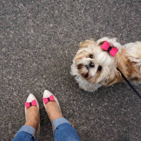 Komplet kokardek Pink Walk